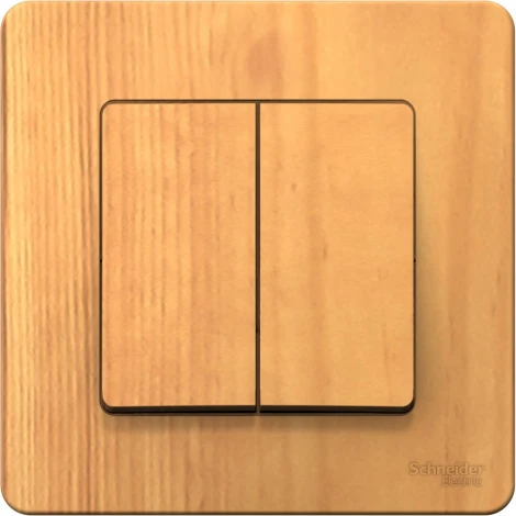 Выключатель встраиваемый двухклавишный (ясень) Systeme Electric Blanca BLNVS106605