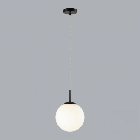 Подвесной светильник Lumion Summer 6510/1B SUSPENTIONI черный E27 1*60W 220V (на проводе, шар)