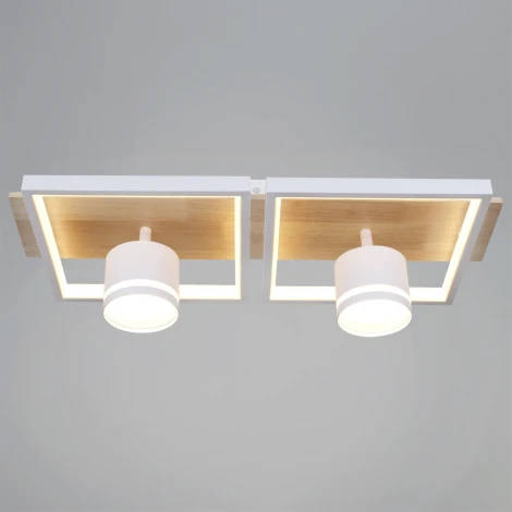 Потолочная люстра с пультом с регулировкой цветовой температуры, яркости и ночным режимом Reluce 19560-0.3-2+2 WH+WOOD