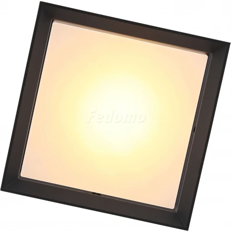 Потолочный светильник уличный ST Luce Cubista SL077.402.01