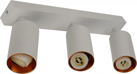 Потолочный светильник спот Brizzi Aras BR08088