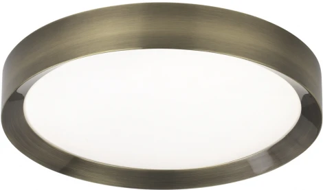 Настенно-потолочный светильник Odeon Light Lunor 4948/45CL