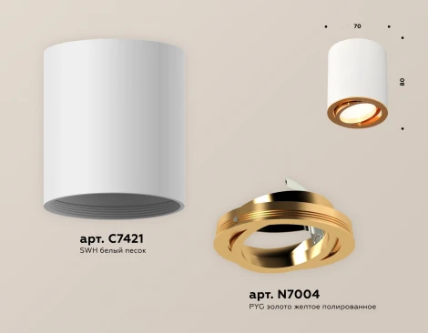 Накладной точечный светильник Ambrella Techno Spot XS7421003 (220V, круглые)