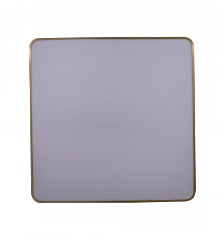 Потолочный светильник Zortes Monna ZRS.1209.07 (LED, 220V)