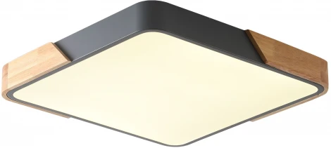 Потолочный светильник Zortes Alberro ZRS.01288.24 (LED, 220V)