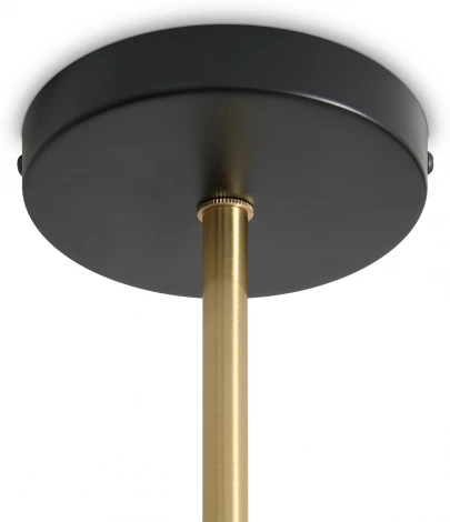 Потолочная люстра на штанге Freya Enzo FR5201PL-04B (220V)