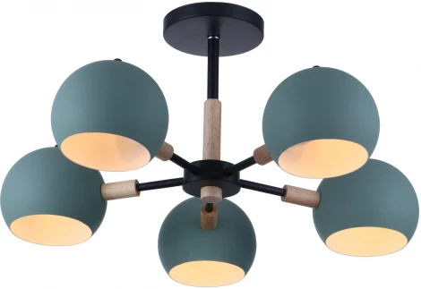 Потолочная люстра Freya Trisha FR5032CL-05B