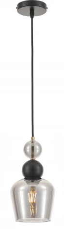Подвесной светильник Rivoli Antonela 4115-201 (220V, на проводе)
