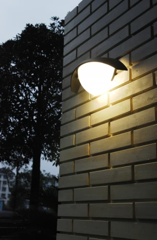 Настенный светильник уличный Oasis Light GEOMETRY 1853 Gr