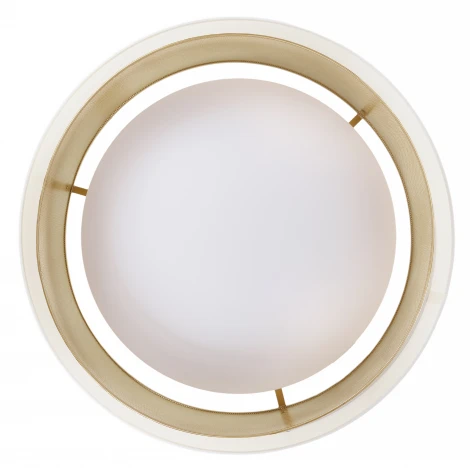 Потолочный светодиодный светильник круглый MyFar Anders MR2371-1CL (220V, круглые)