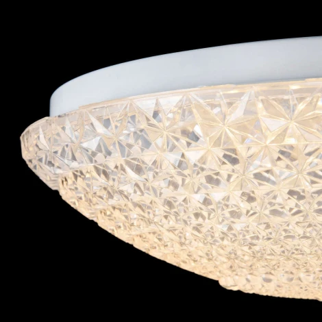 Потолочный светильник Freya Alicia FR6310-CL01-12W-TR