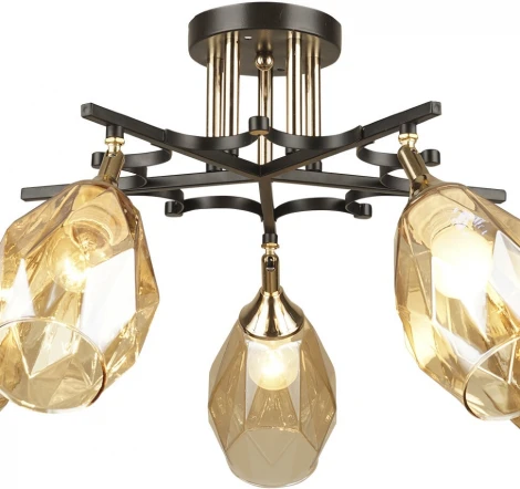 Потолочная люстра Wedo Light Deylna 66749.01.69.05