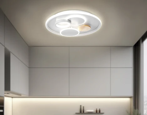 Настенно-потолочный светодиодный светильник с пультом Ambrella Comfort FL4803 (регулировка яркости, 220V, круглые, кольцо)