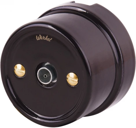 Комплект винтов для распределительной коробки или TV-розетки 2 шт. (золото) Werkel WL18-22-01 (a038396)