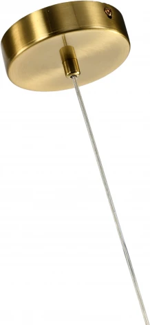 Подвесной светильник Zortes Dalin ZRS.90609.01 (220V, на проводе, цветы)