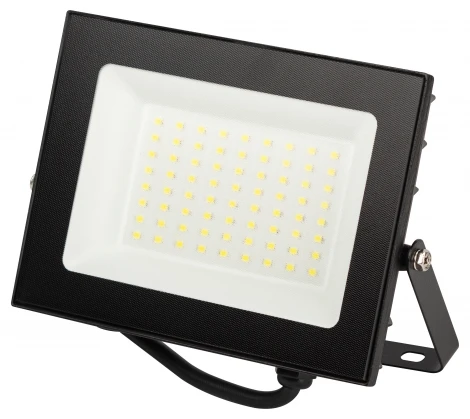 Прожектор уличный светодиодный ЭРА LPR-06 LPR-062-0-65K-050