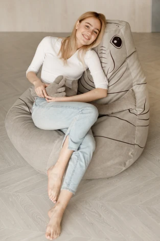 Кресло мешок Dreambag Ждун (Классический) 23216