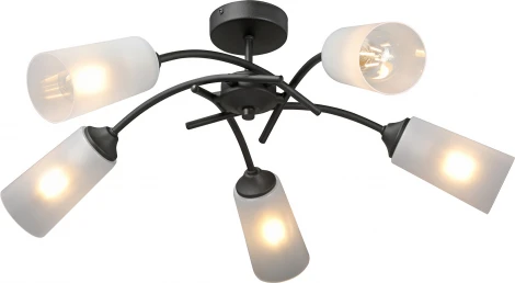 Потолочная люстра на штанге Vitaluce V2850-1/5PL (220V)