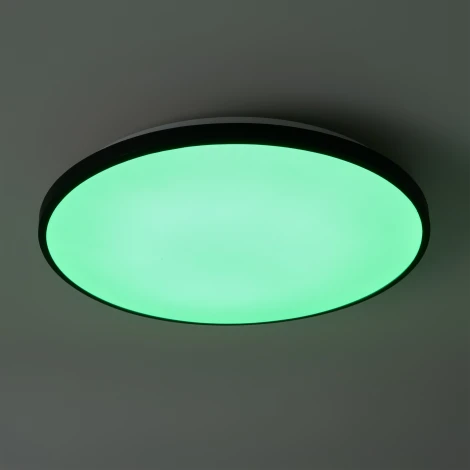 Потолочный светильник светодиодный Freya Obelle FR6211CL-L24B 24Вт LED