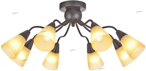 LuceSolara 2005 2005/8PL