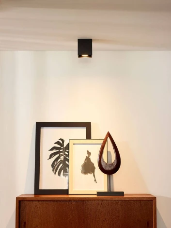 Накладной точечный светильник Lucide Bodi 09101/01/30 (220V)