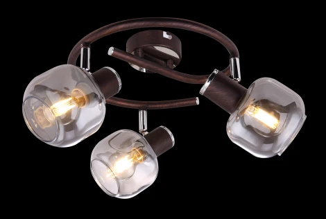 Спот Pallo 54303-3 Globo (220V)