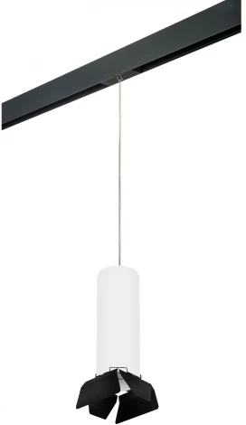 Трековый светильник однофазный 220V Lightstar Rullo PRORP6496487