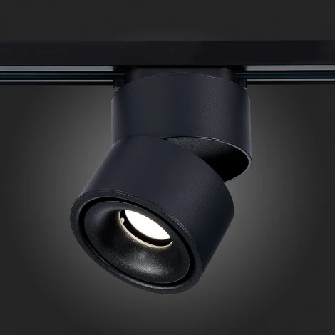 Трековый светильник ST Luce St652 ST652.436.12 (LED, 220V, круглые)