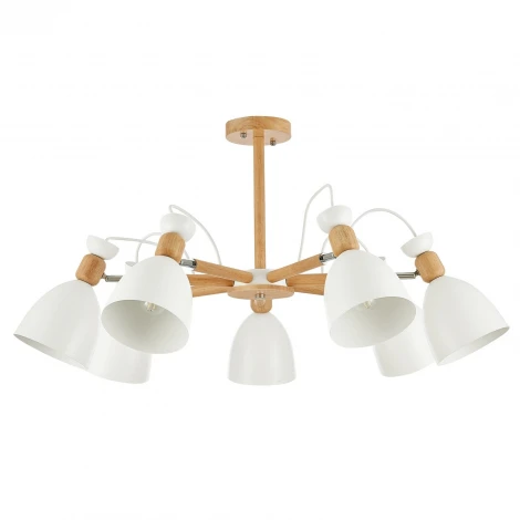 Потолочная люстра Evoluce Balcamo SLE103802-07 (220V)