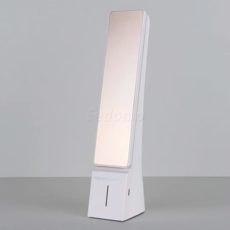 Офисная настольная лампа Elektrostandard Desk TL90450