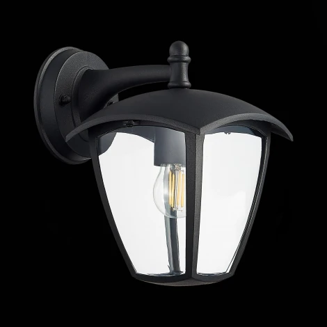 Настенный фонарь уличный ST Luce Sivino SL081.411.01