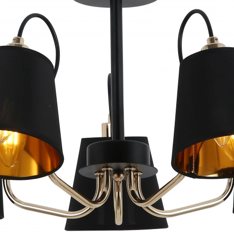 Потолочная люстра на штанге ILLUMICO IL6120-5COU-79 BK GD (220V)