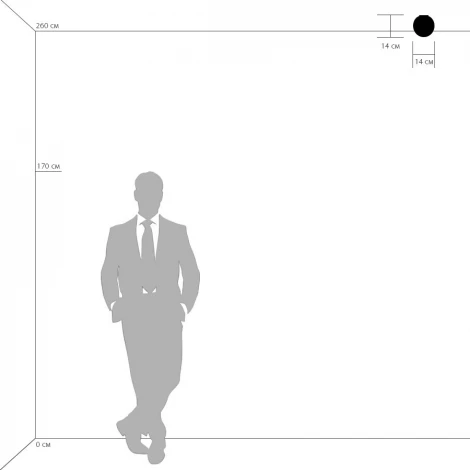 Настенный светильник Lightstar Globo 803010 (220V, шар)