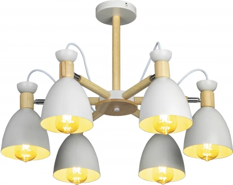 Потолочная люстра на штанге Ritter Volante 52595 0