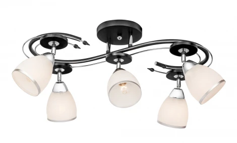 Потолочная люстра Silver Light Austerity 245.59.5