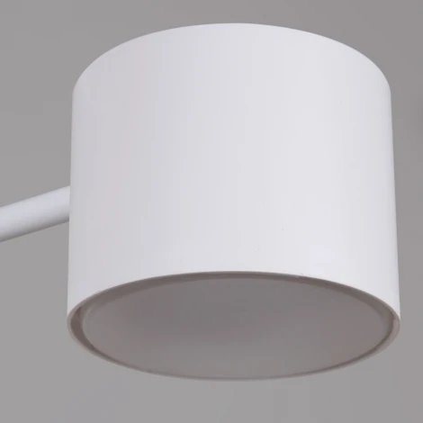 Потолочная люстра на штанге Reluce 47206-0.3-06WT