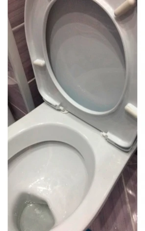 Унитаз-компакт Santeri Орион Комфорт белый