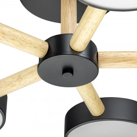 Потолочная люстра светодиодная на штанге с ДУ Ritter Scandia 51592 4