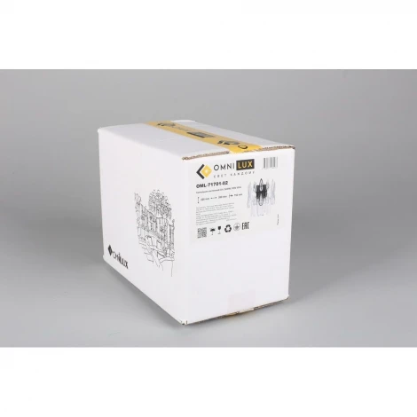 Настенный светильник Omnilux Riposto OML-71701-02 (220V, хрусталь)