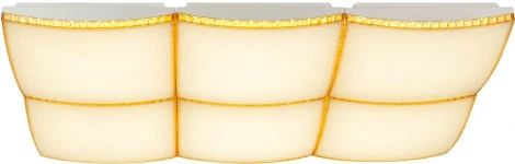 Потолочный светильник светодиодный с пультом AM Group AM217 AM217-96W