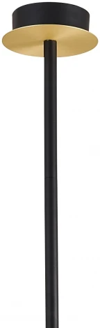 Потолочная люстра Favourite Juggler 3046-9P