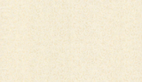 Обои виниловые Marburg Padua Classic 57303 10,05 x 1,06 м
