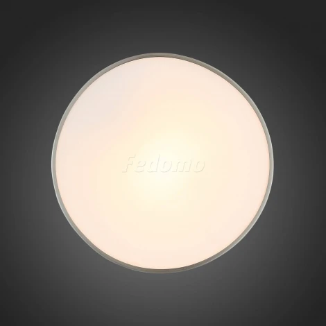 Настенно-потолочный светильник ST Luce Bagno SL468.502.01