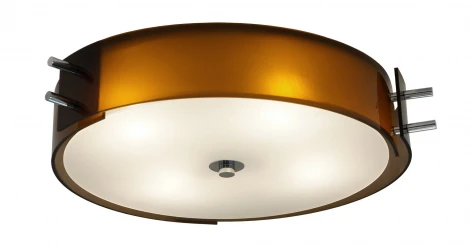 Потолочный светильник ST Luce SL484 SL484.702.04
