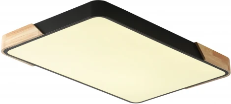 Потолочный светильник Zortes Alberro ZRS.01244.60 (LED, 220V)