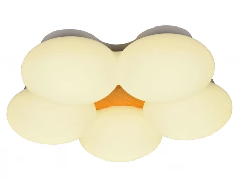 Потолочный светильник фигурный Мелодия Света SS1L 000024978