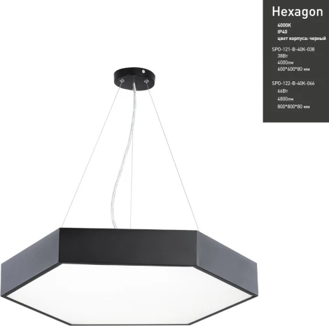 Подвесной светильник светодиодный ЭРА SPO-122-B-40K-066 (220V, на тросе, IP40)