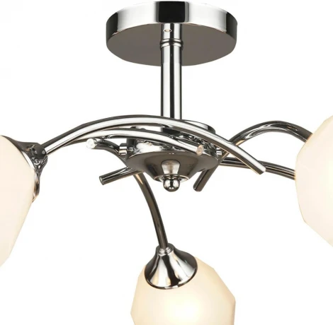 Потолочная люстра Wedo Light Totgnir 66653.01.03.05