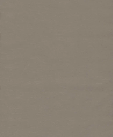 Рулонные обои BN International BN 18344