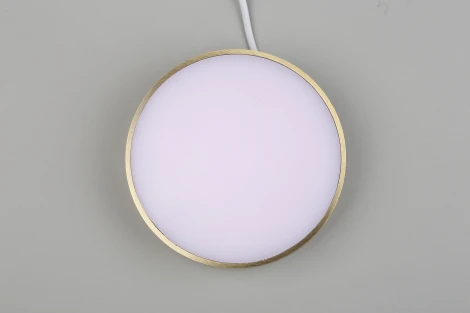 Потолочный светильник круглый Aployt Evon APL.0114.29.18 (LED, 220V, круглые)